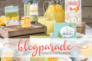 Blogparade-Team-Stempelwiese-juli-2017